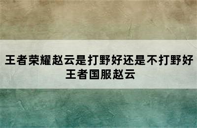 王者荣耀赵云是打野好还是不打野好 王者国服赵云